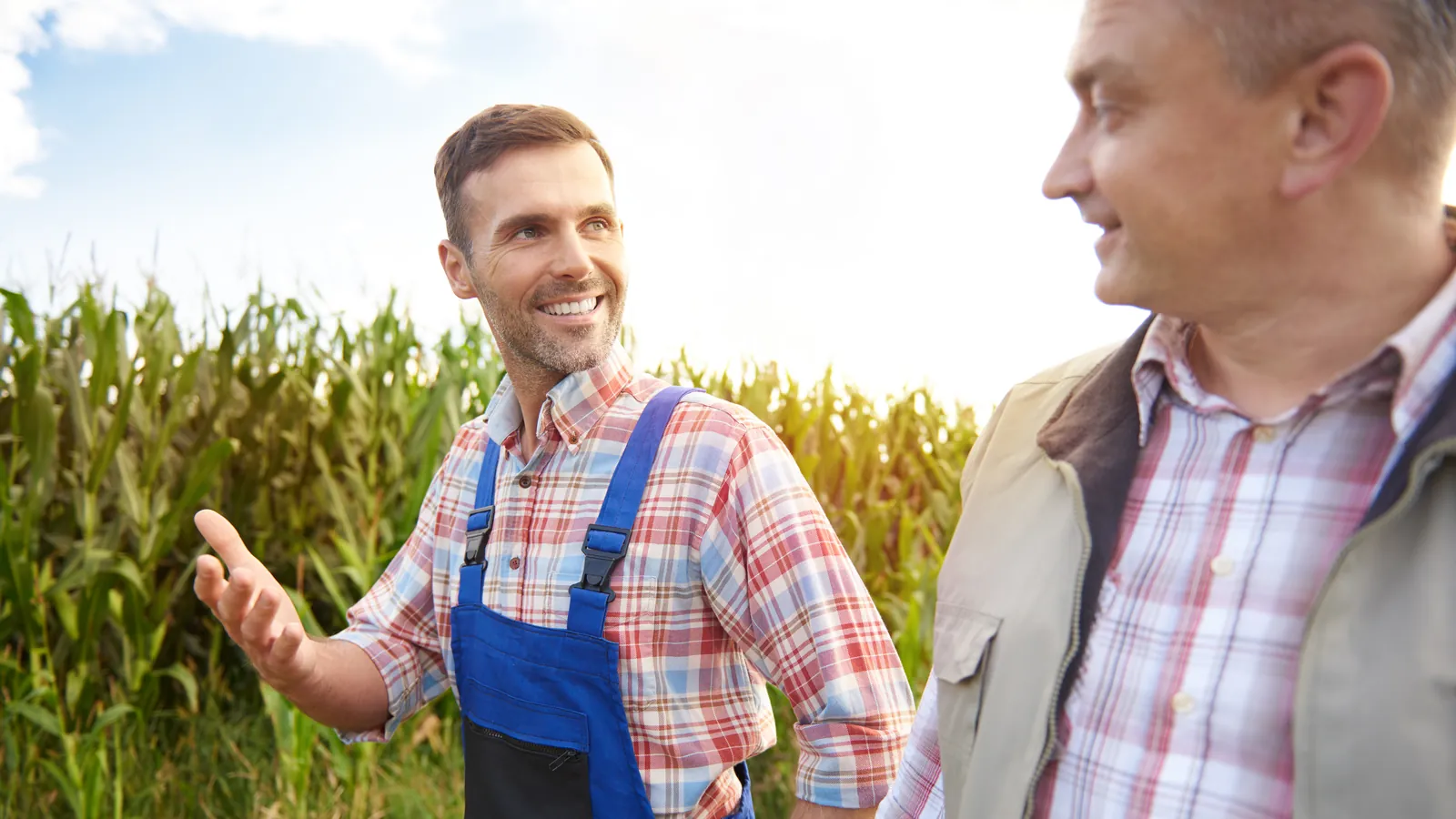 Agricultor conversando con un perito agrónomo junto a un campo de maíz